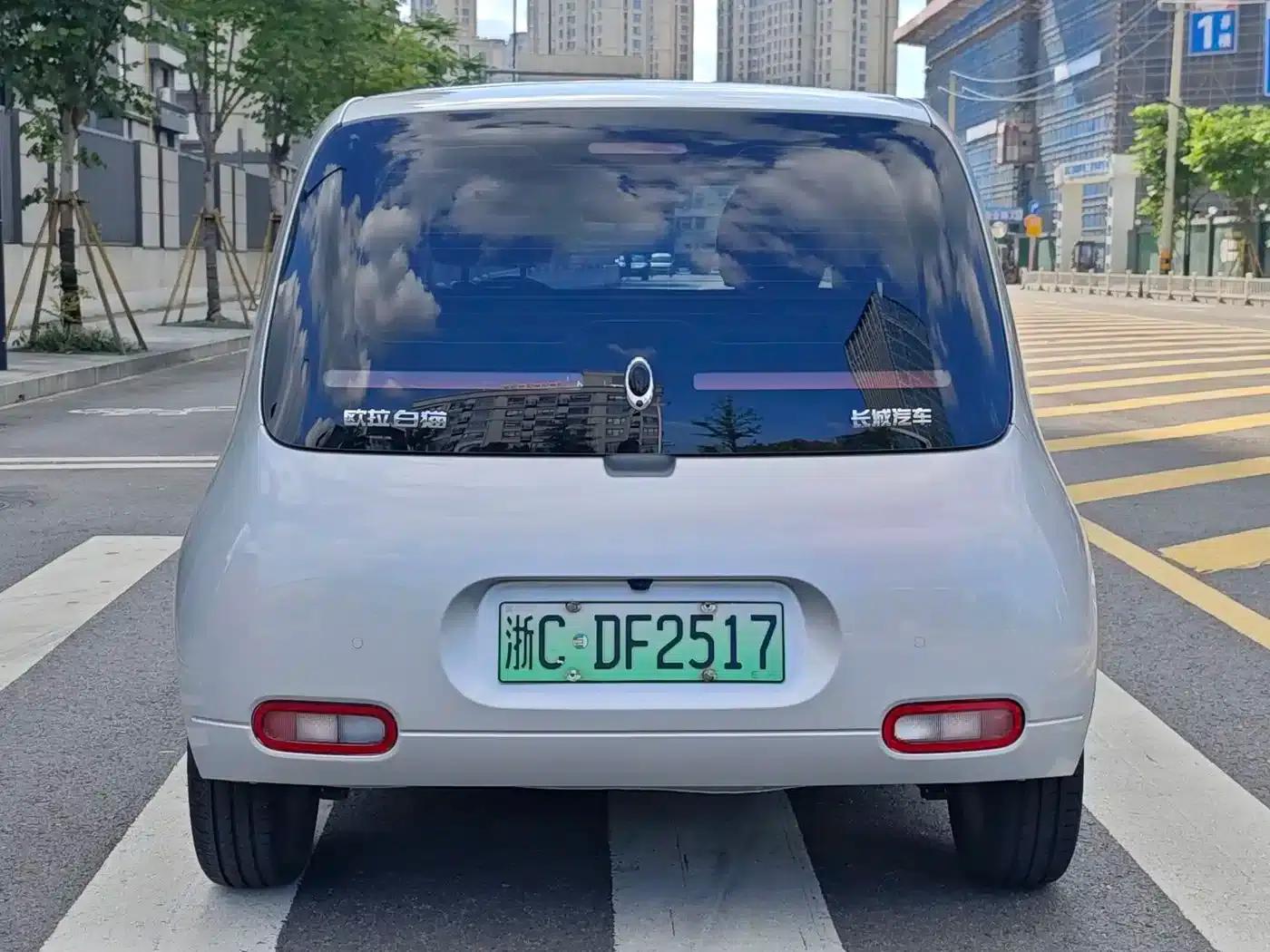 ORA White Cat 2020 Model 305km Luxury — миниатюра 4