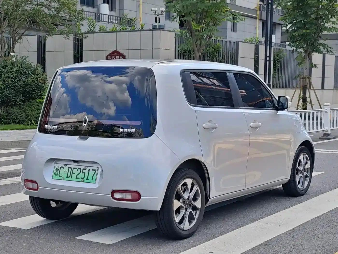 ORA White Cat 2020 Model 305km Luxury — миниатюра 5
