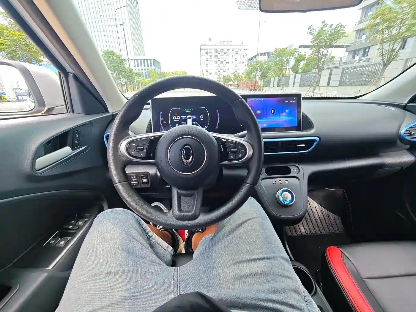 ORA White Cat 2020 Model 305km Luxury — миниатюра 9