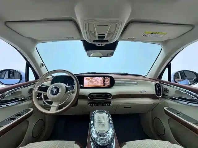 Euler Ballet Cat 2023 Model 401km Premium — миниатюра 6