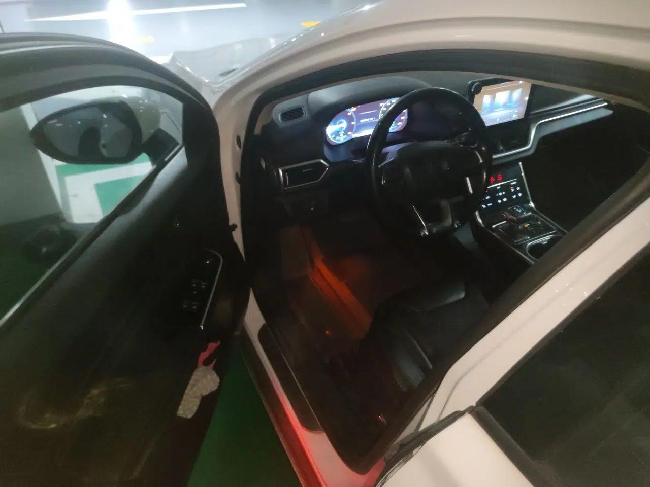 Hongqi E-HS3 2019 Zhilian Qiyue Two-Wheel Drive Version — миниатюра 16
