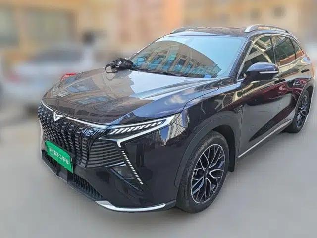 Cowin Kunlun 2024 Kunlun iHD 150km Mountain Peak Edition