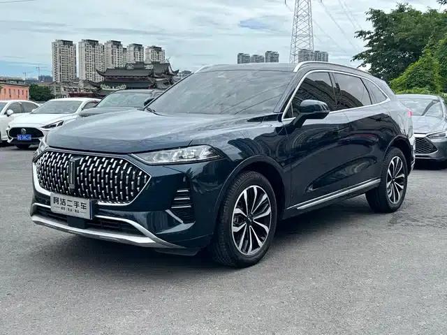 Wey brand Mocha 2021 2.0T 2WD Special Edition