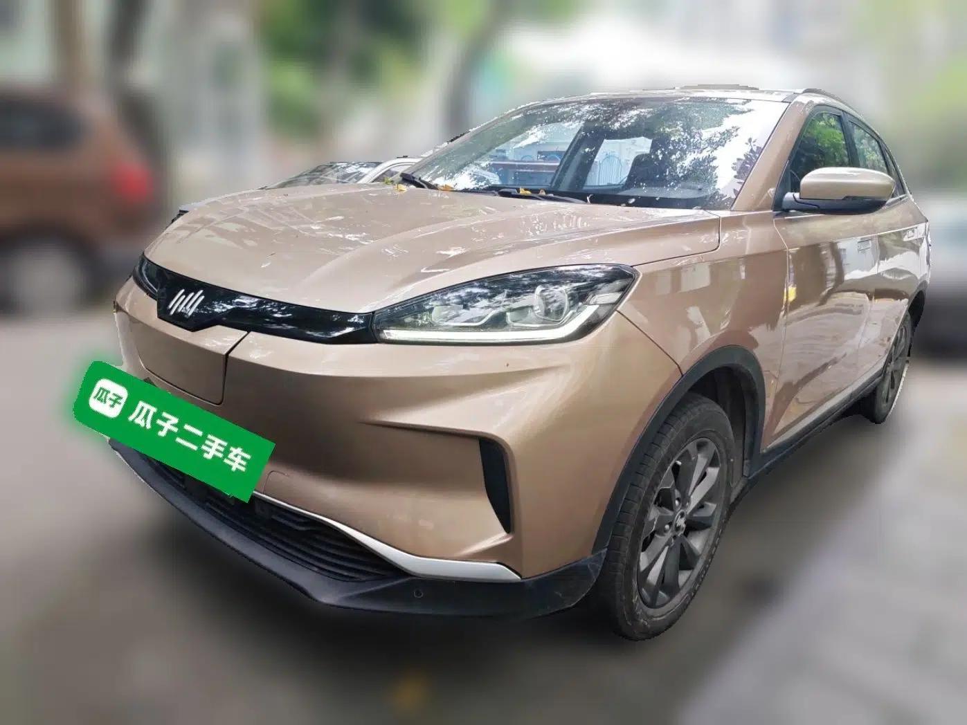 WM Motor EX5 2019 EX5 Mate Weymeng Edition 400 — миниатюра 1