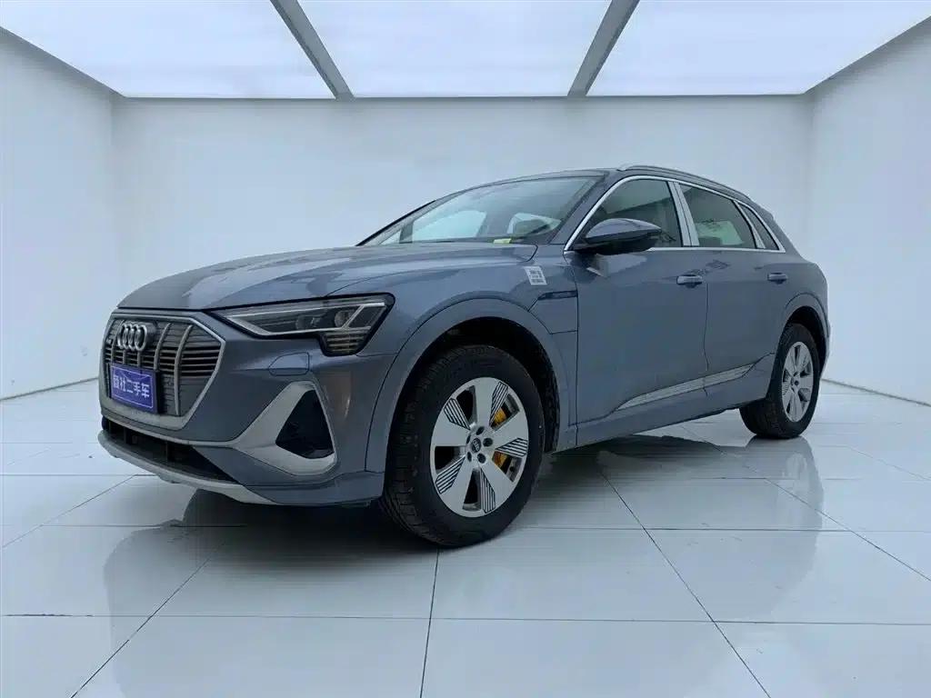 Audi e-tron 2021 50 quattro Luxury — миниатюра 1