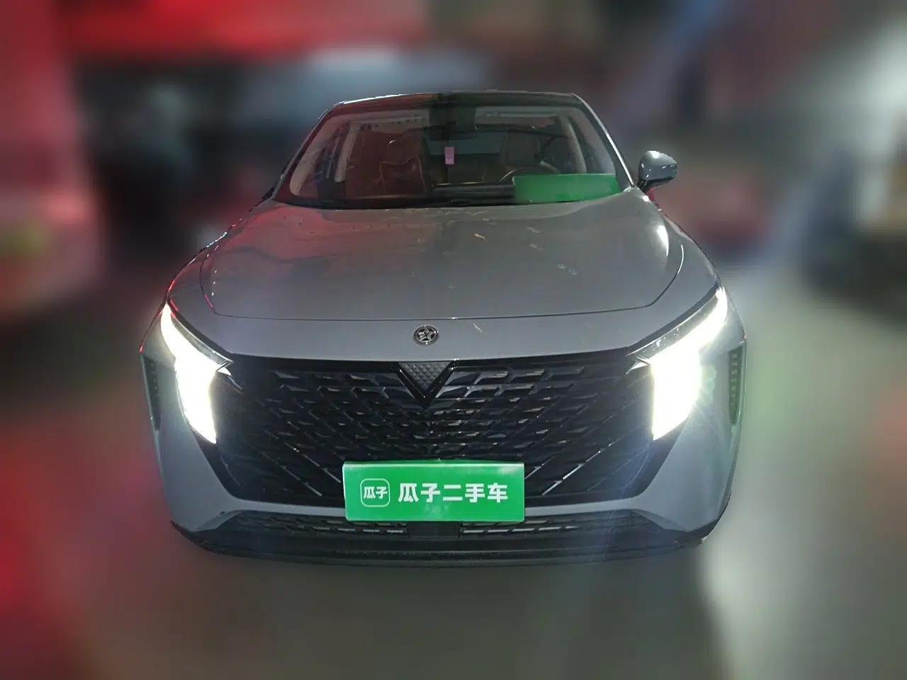 Venucia V 2021 260T Idol Edition — миниатюра 2