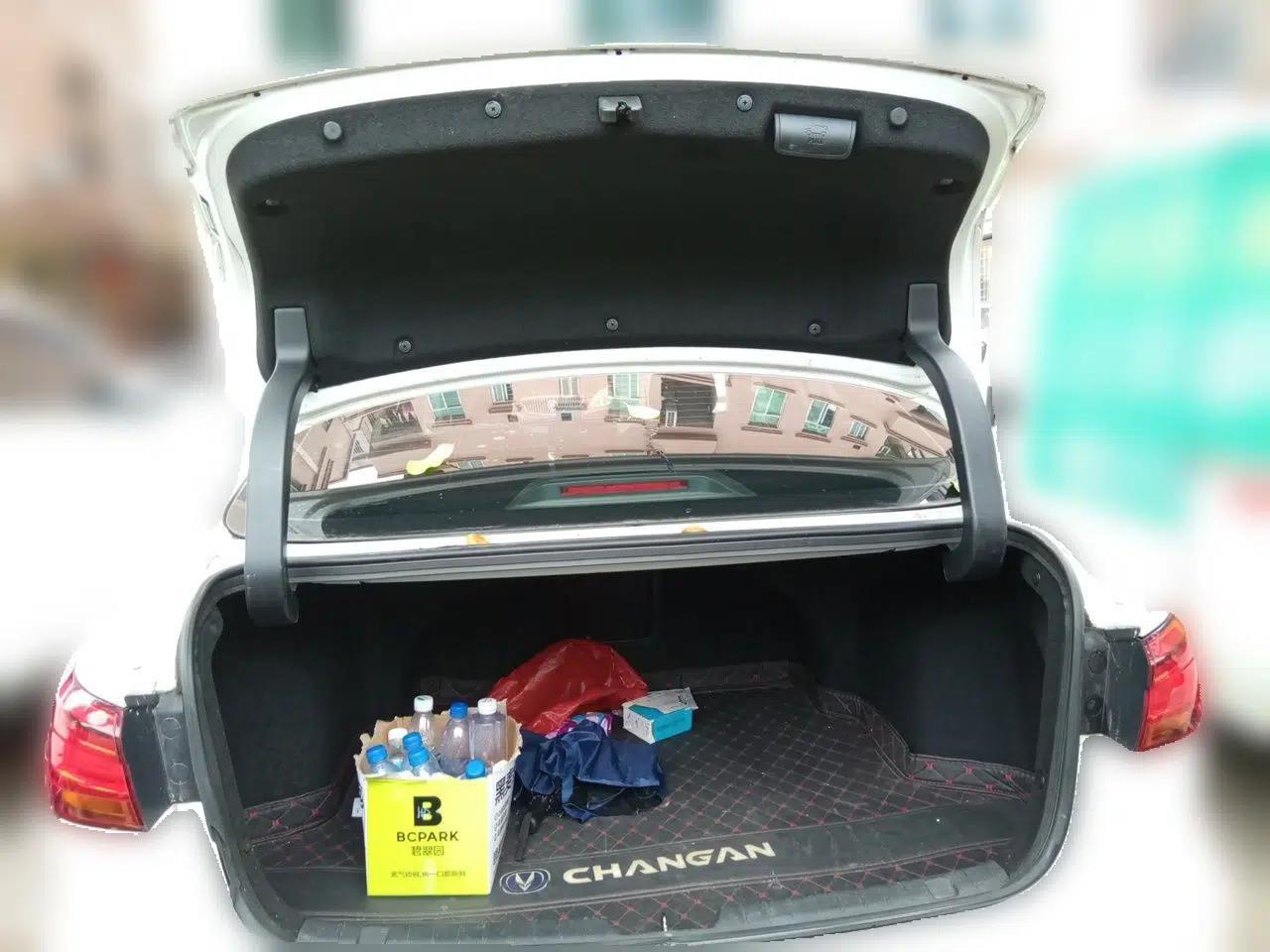 CHANGAN Ruicheng CC 2022 Blue Whale Edition 1.5T DCT Luxury Model — миниатюра 19