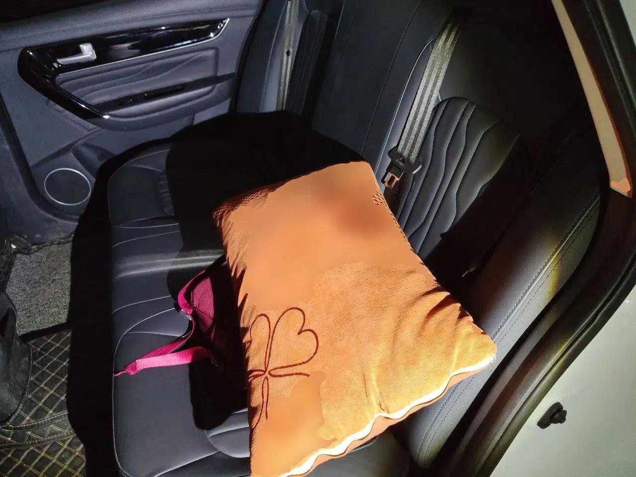 FORTHING S60 EV 2022 Comfort Edition — миниатюра 17