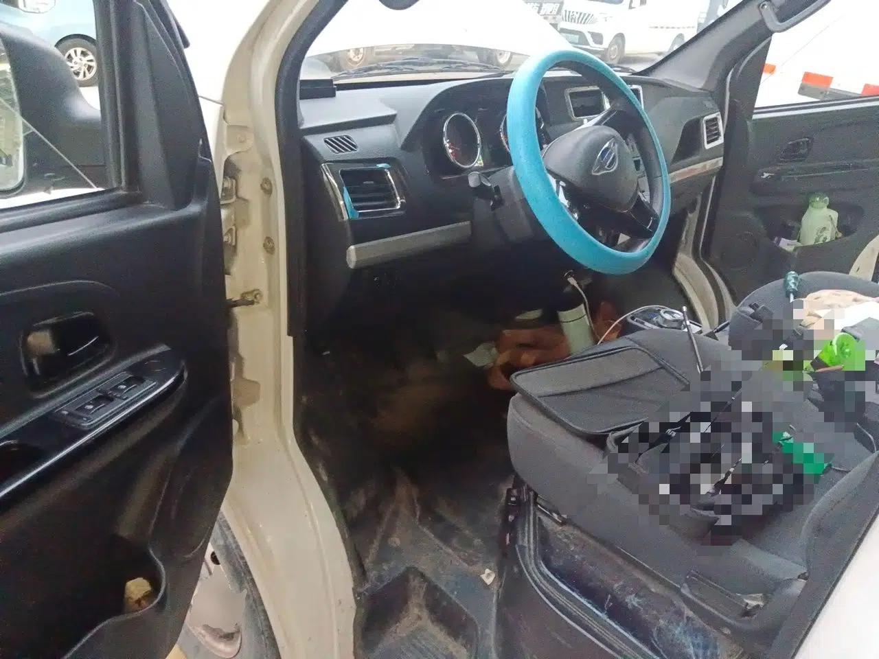 Foton Skyworth EV6 2023 Fast-Charging Version — миниатюра 16