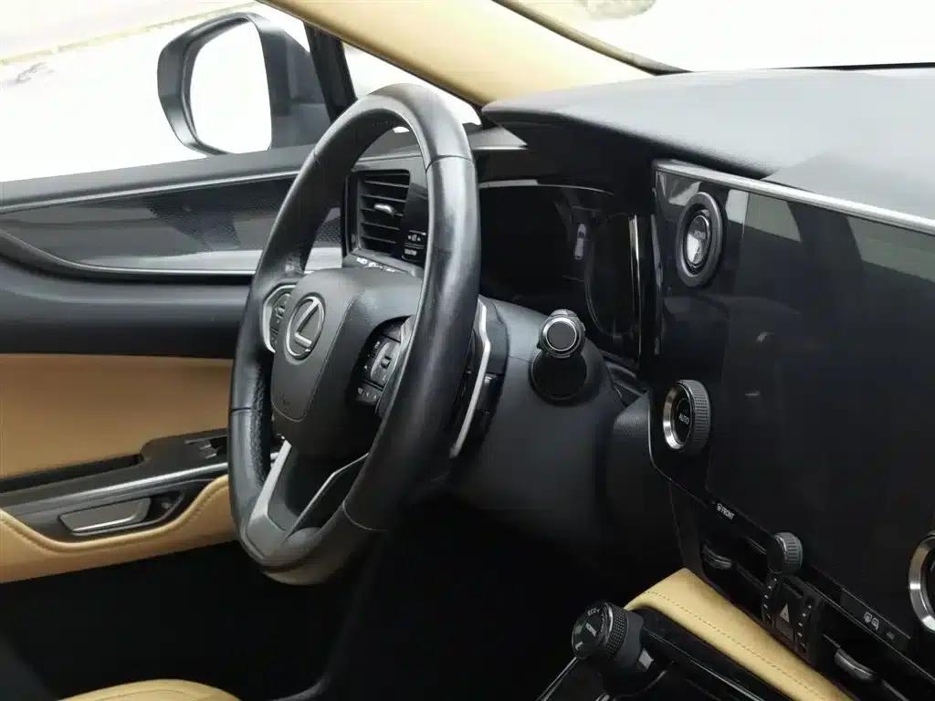Lexus NX PHEV 2022 400h+ Comfort Edition — миниатюра 22