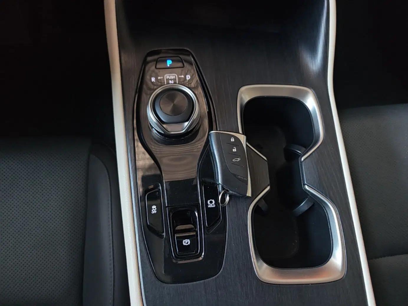 Lexus RZ 2023 450e All-Wheel Drive Luxury Edition — миниатюра 16