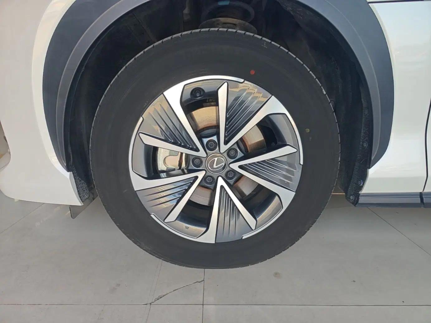 Lexus RZ 2023 450e All-Wheel Drive Luxury Edition — миниатюра 10