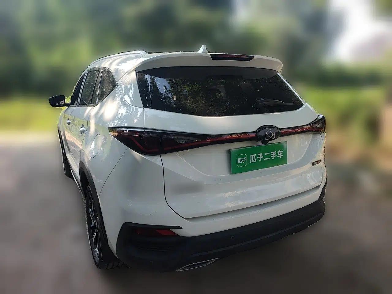 SOL X8 2021 300T DCT Panoramic Luxury Edition 5 Seats — миниатюра 4