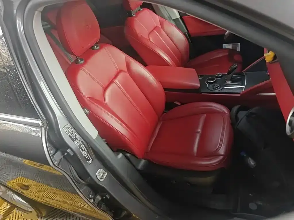 2017 Stelvio 2.0T 200HP Luxury Edition — миниатюра 25