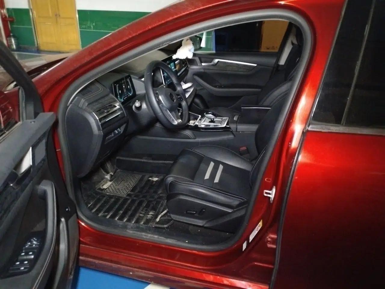 BYD Qin Pro New Energy 2019 EV Super Edition High-Power Long-Range Smart-Connected Leading Model — миниатюра 16
