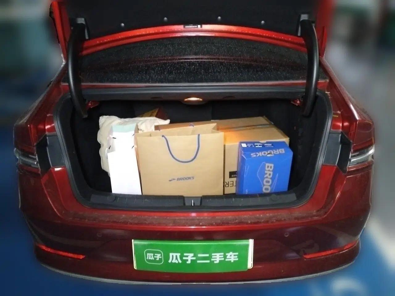 BYD Qin Pro New Energy 2019 EV Super Edition High-Power Long-Range Smart-Connected Leading Model — миниатюра 19