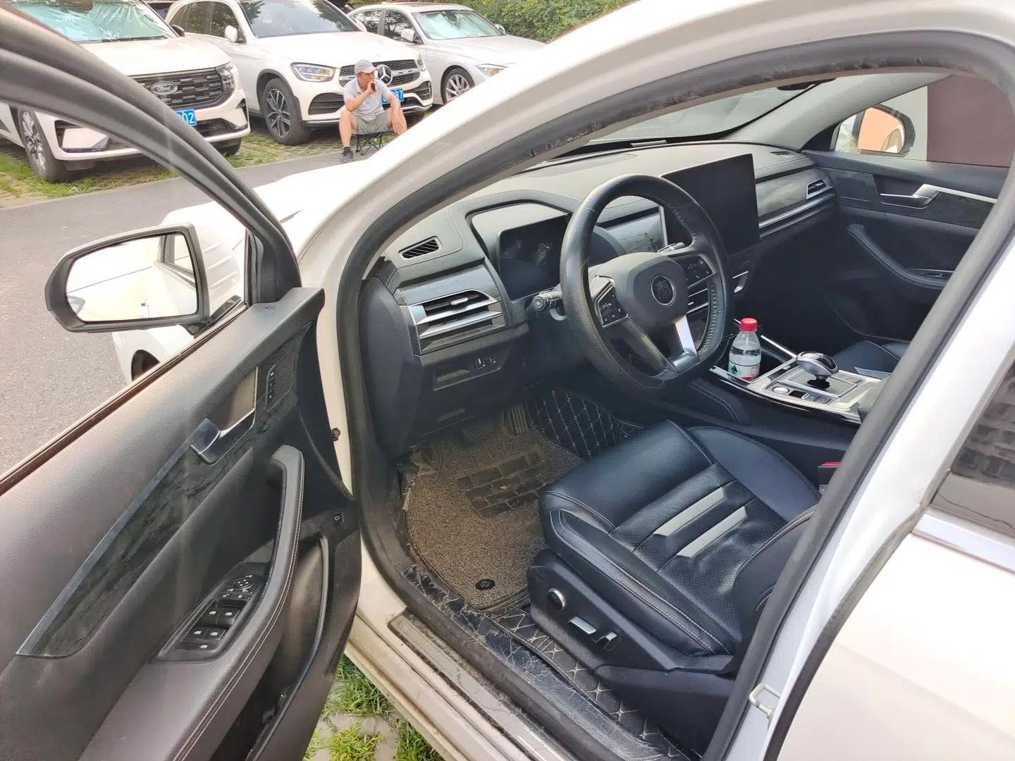 BYD Qin Pro New Energy 2018 EV500 Smart Connect Elite Model — миниатюра 16
