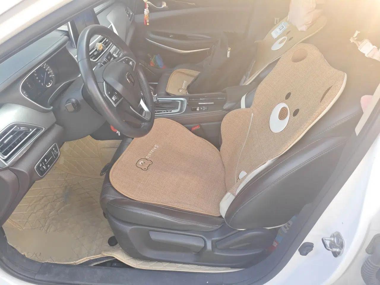 CHANGAN Raeton CC 2018 1.5T Automatic Elegant Version China V Standard — миниатюра 15