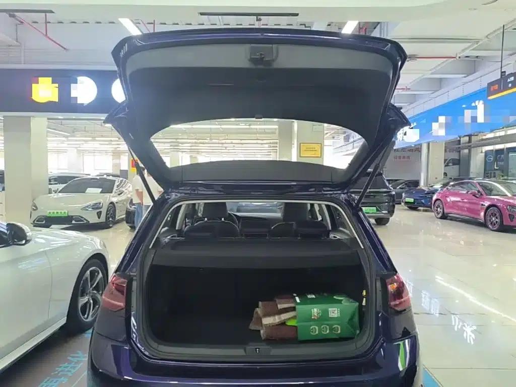 2020 Golf EV Pro — миниатюра 19