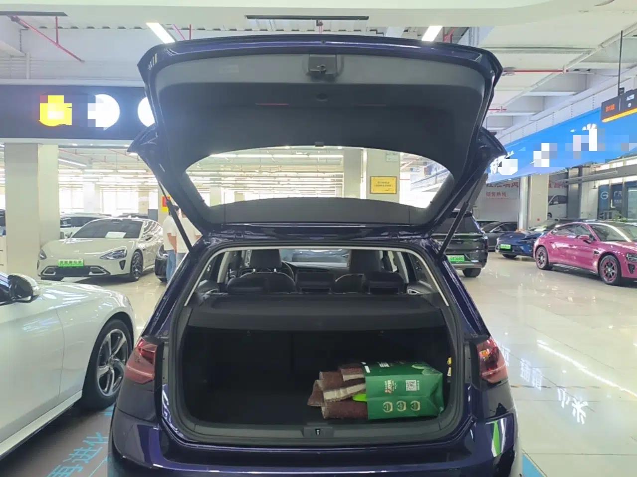 Volkswagen Golf Pure Electric 2020 Chariot Pro — миниатюра 22