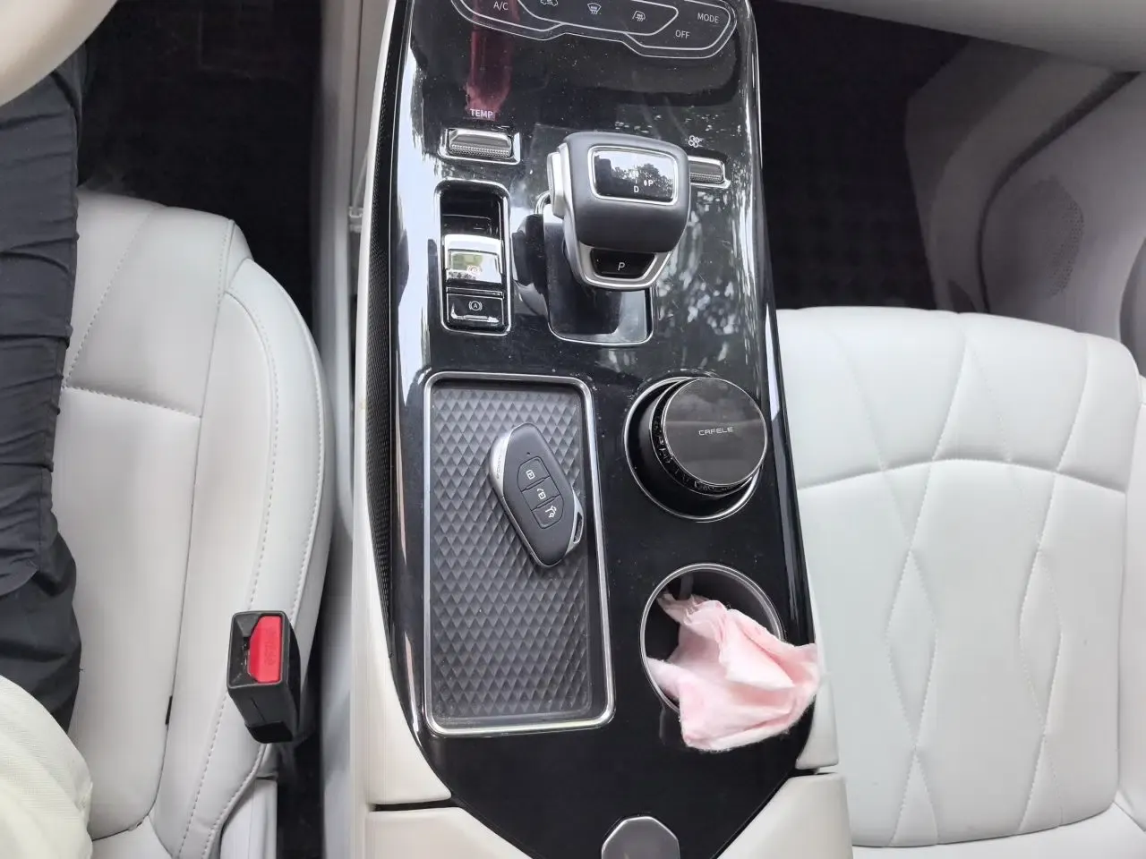 FORTHING Xinghai V9 2024 1.5TD 100km Chinese Knot Series Performance Edition — миниатюра 14