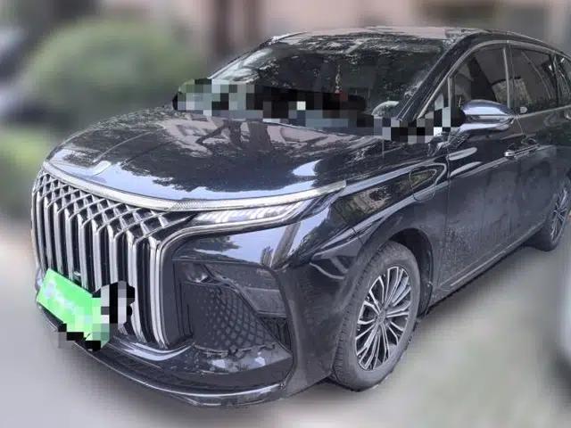FORTHING Xinghai V9 2024 1.5TD 100km Chinese Knot Series Performance Edition