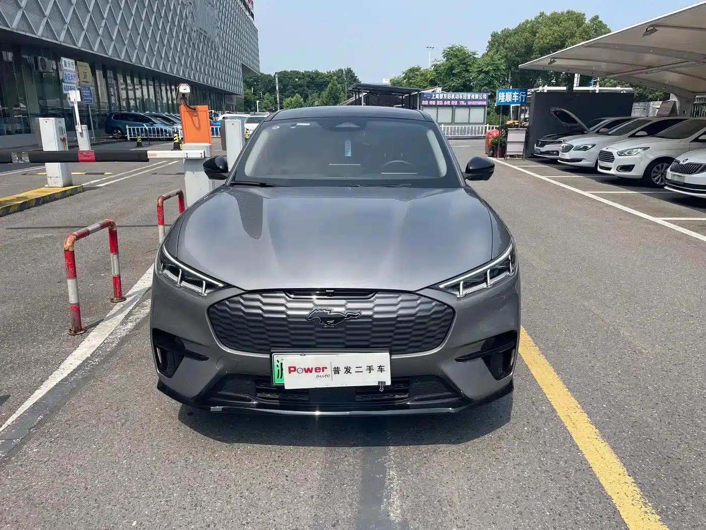 Ford e31 2021 Model X Unlimited Rear-Wheel Drive Luxury Edition Long Range — миниатюра 2