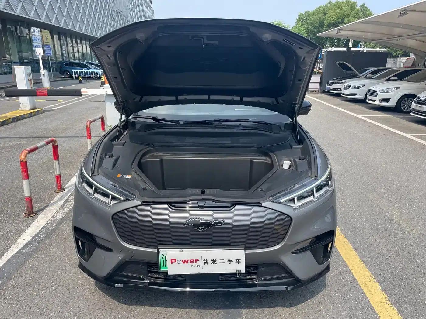 Ford e31 2021 Model X Unlimited Rear-Wheel Drive Luxury Edition Long Range — миниатюра 11