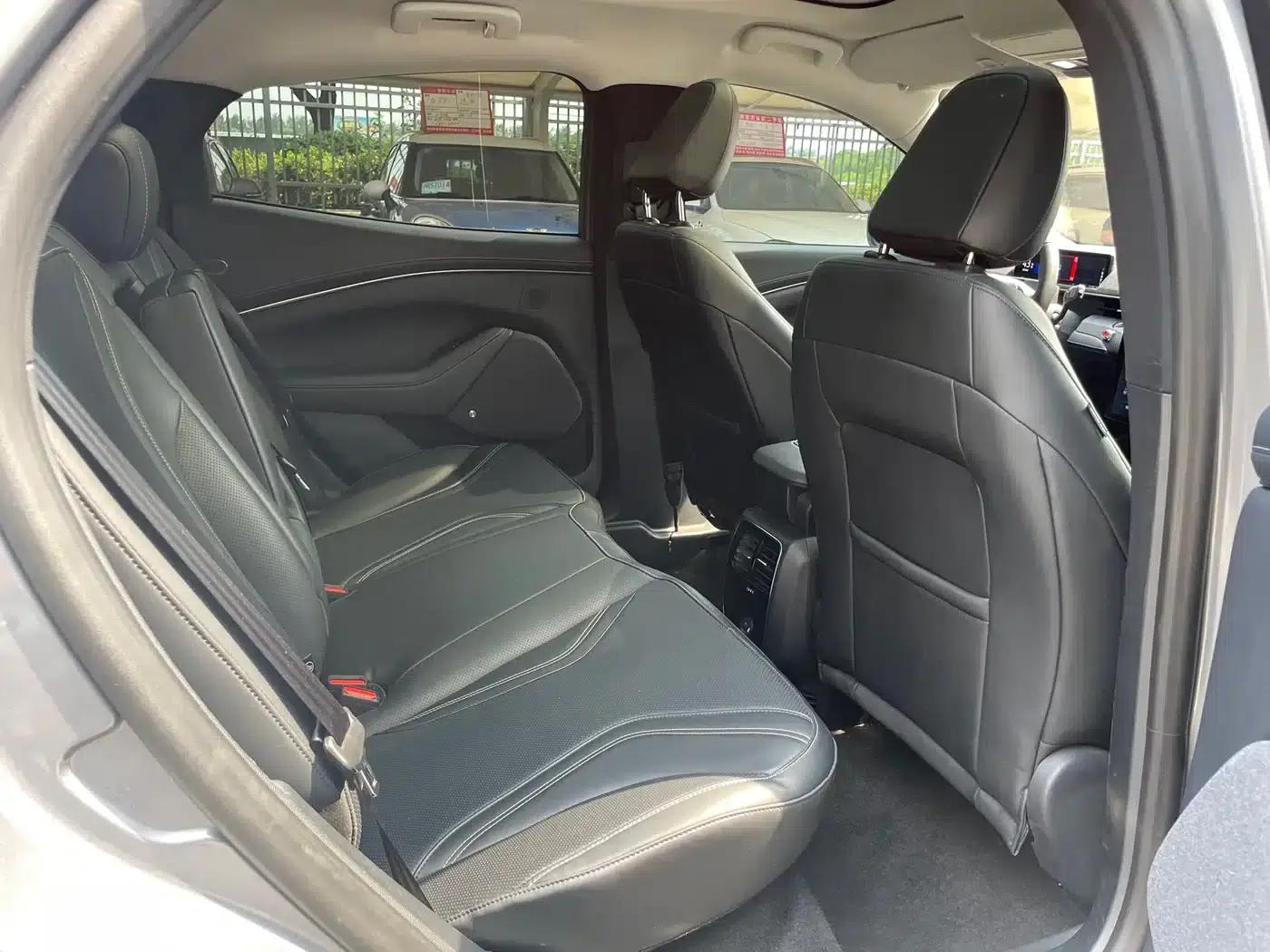 Ford e31 2021 Model X Unlimited Rear-Wheel Drive Luxury Edition Long Range — миниатюра 13
