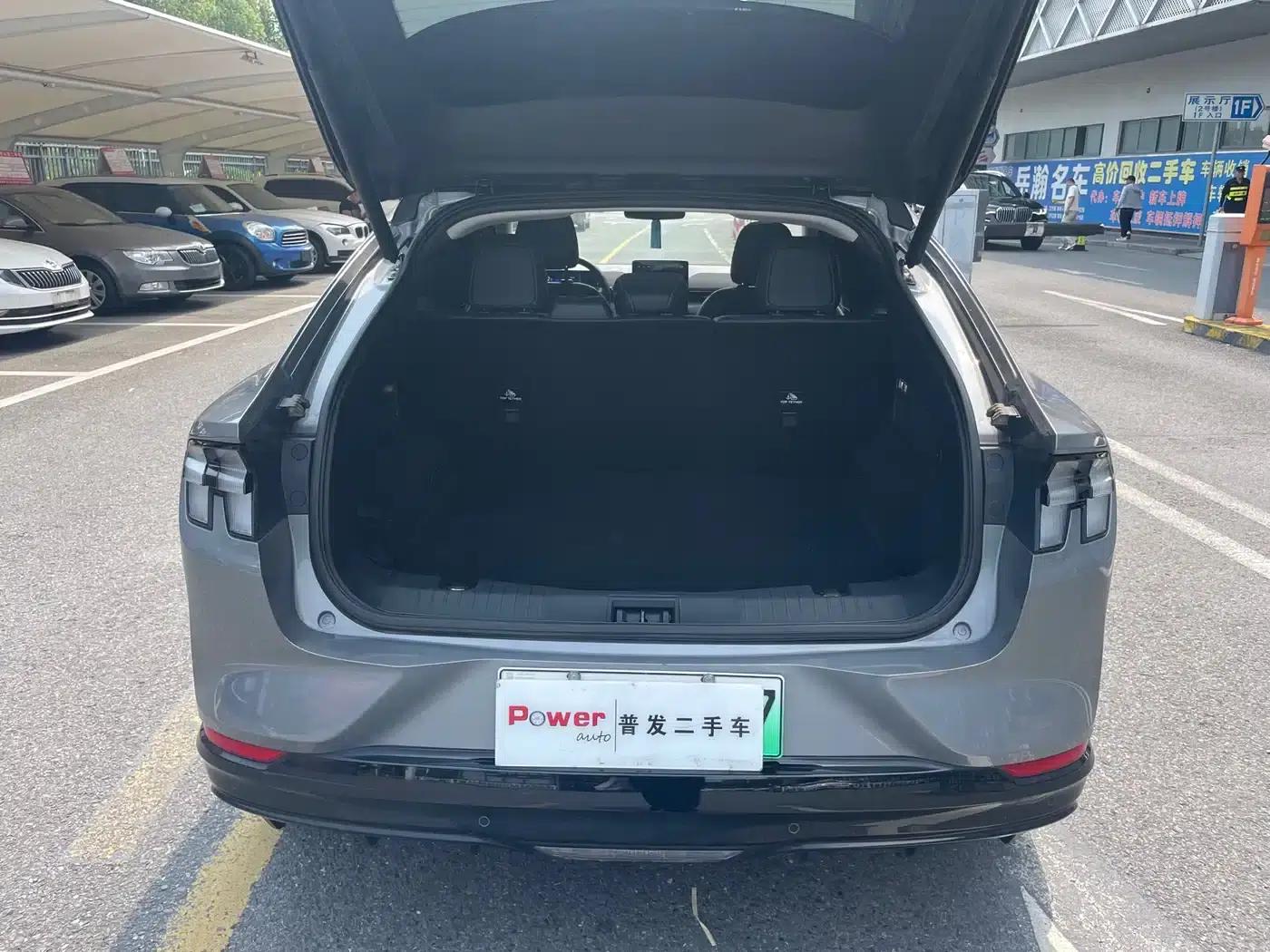 Ford e31 2021 Model X Unlimited Rear-Wheel Drive Luxury Edition Long Range — миниатюра 17