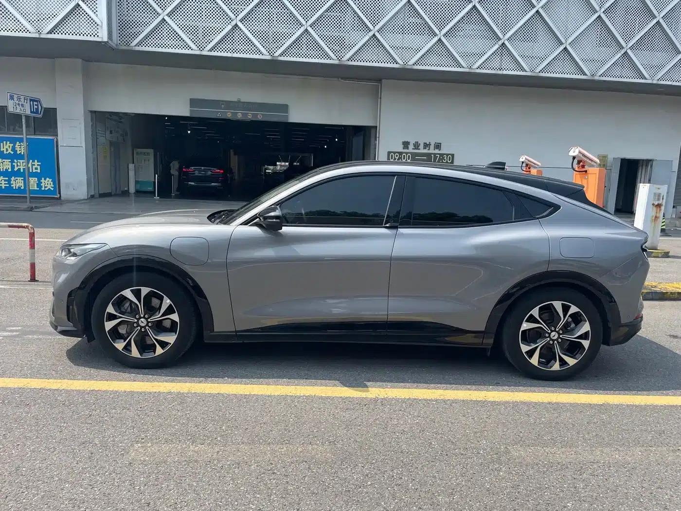 Ford e31 2021 Model X Unlimited Rear-Wheel Drive Luxury Edition Long Range — миниатюра 3