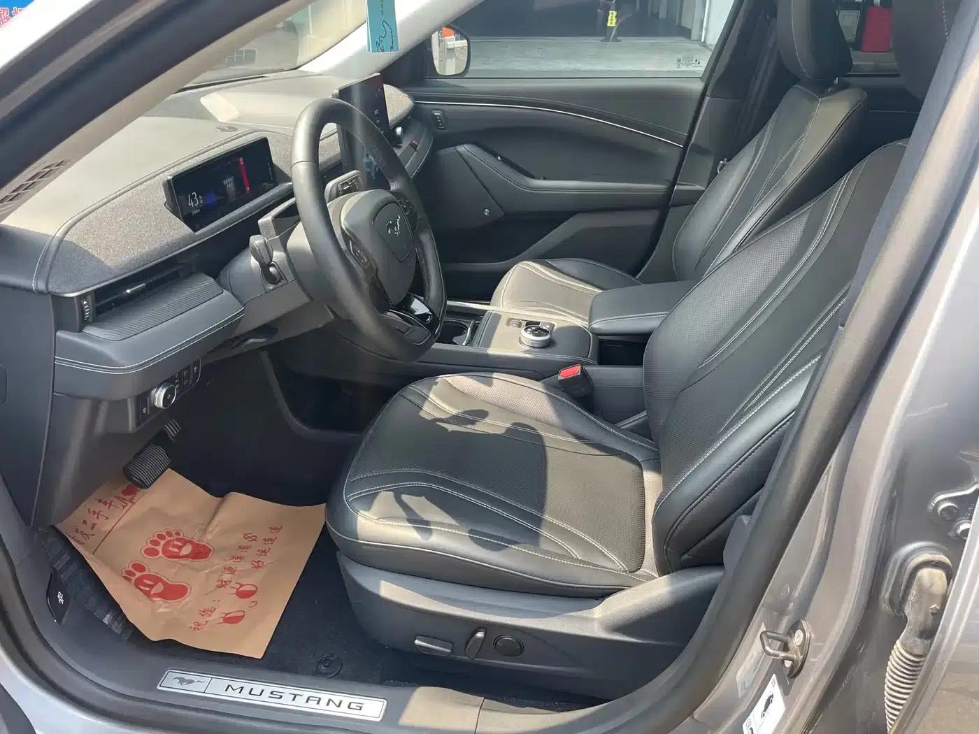Ford e31 2021 Model X Unlimited Rear-Wheel Drive Luxury Edition Long Range — миниатюра 4