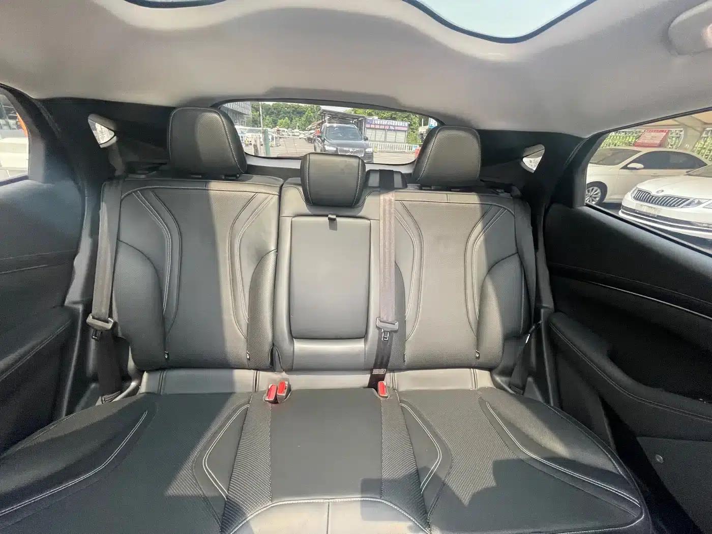 Ford e31 2021 Model X Unlimited Rear-Wheel Drive Luxury Edition Long Range — миниатюра 7