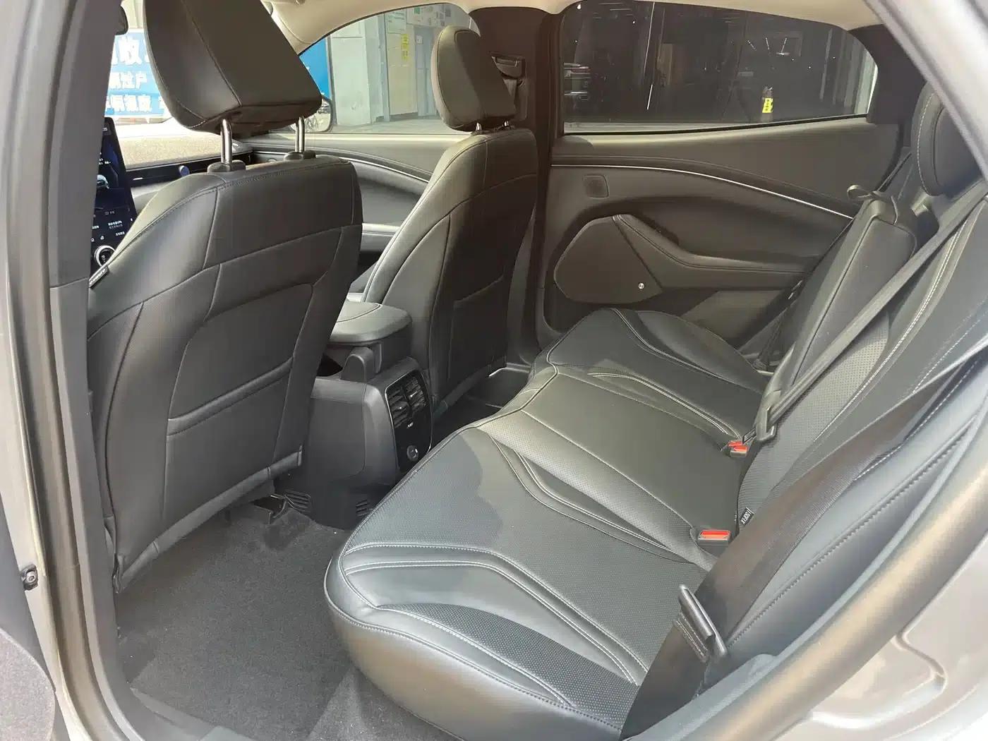 Ford e31 2021 Model X Unlimited Rear-Wheel Drive Luxury Edition Long Range — миниатюра 8