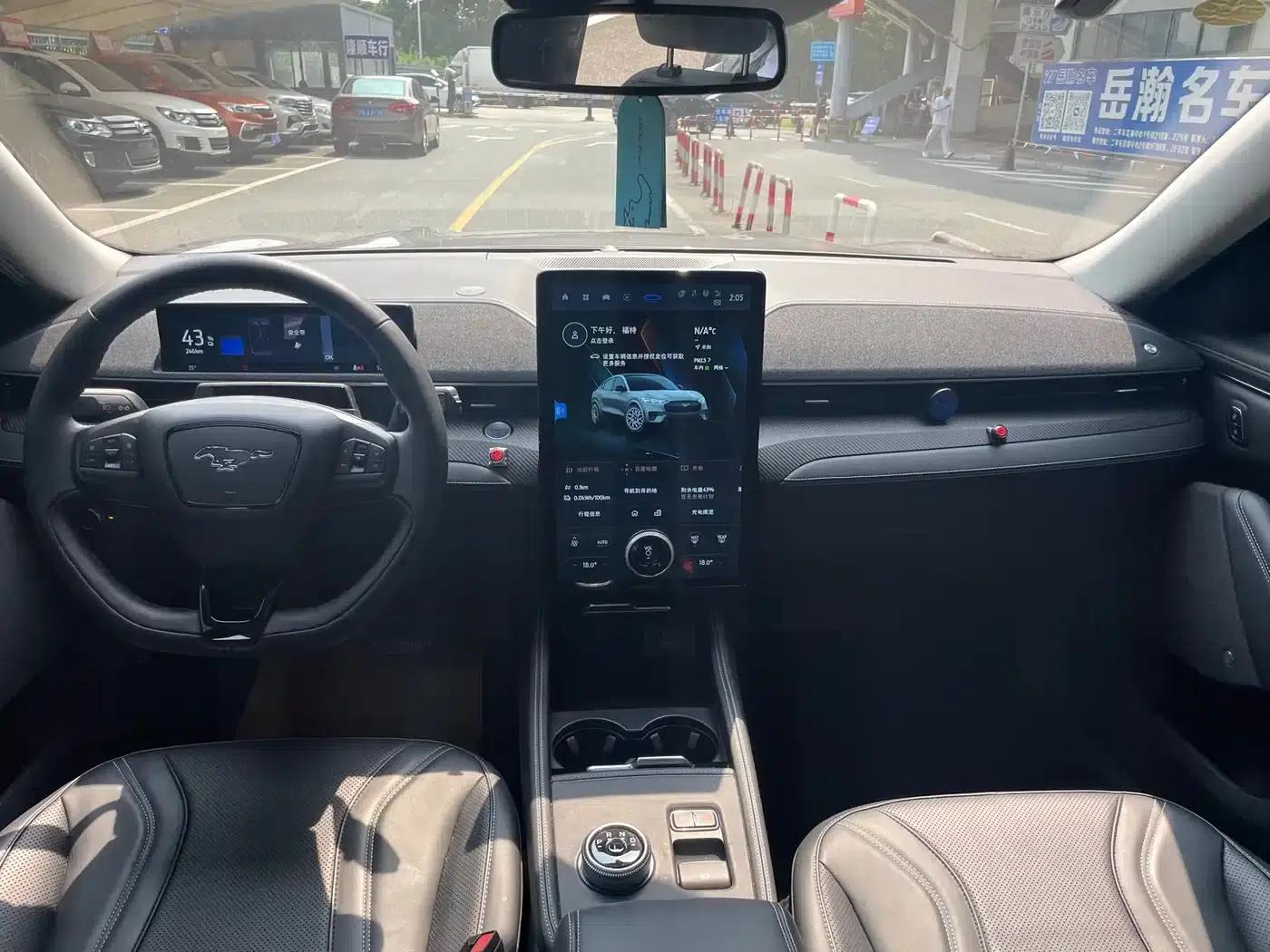 Ford e31 2021 Model X Unlimited Rear-Wheel Drive Luxury Edition Long Range — миниатюра 9