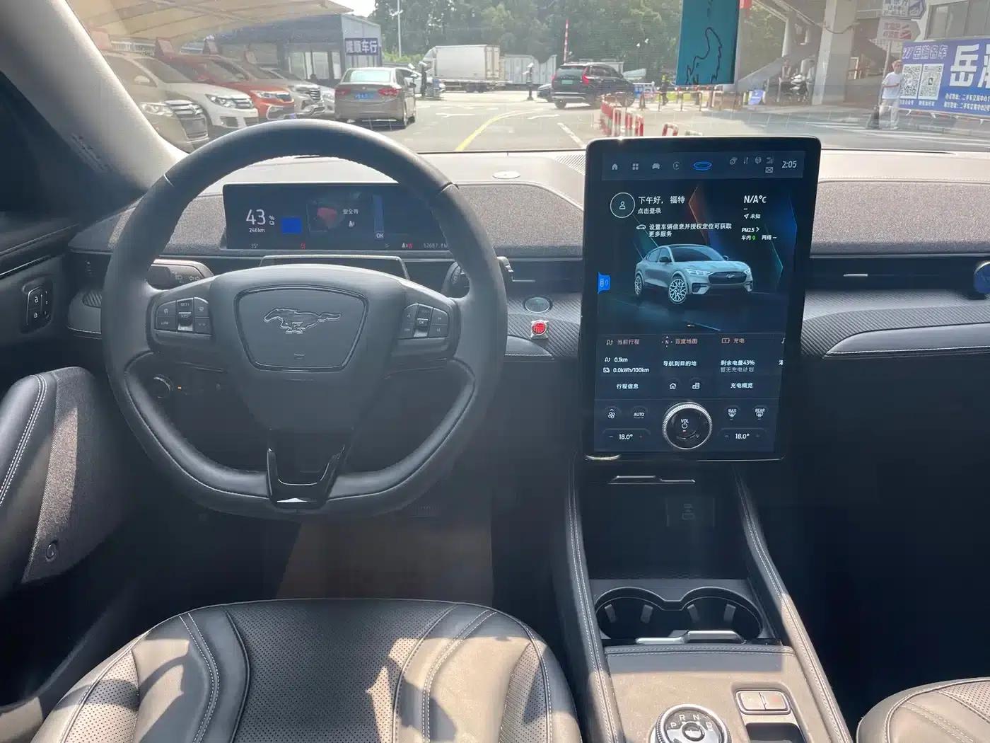 Ford e31 2021 Model X Unlimited Rear-Wheel Drive Luxury Edition Long Range — миниатюра 10