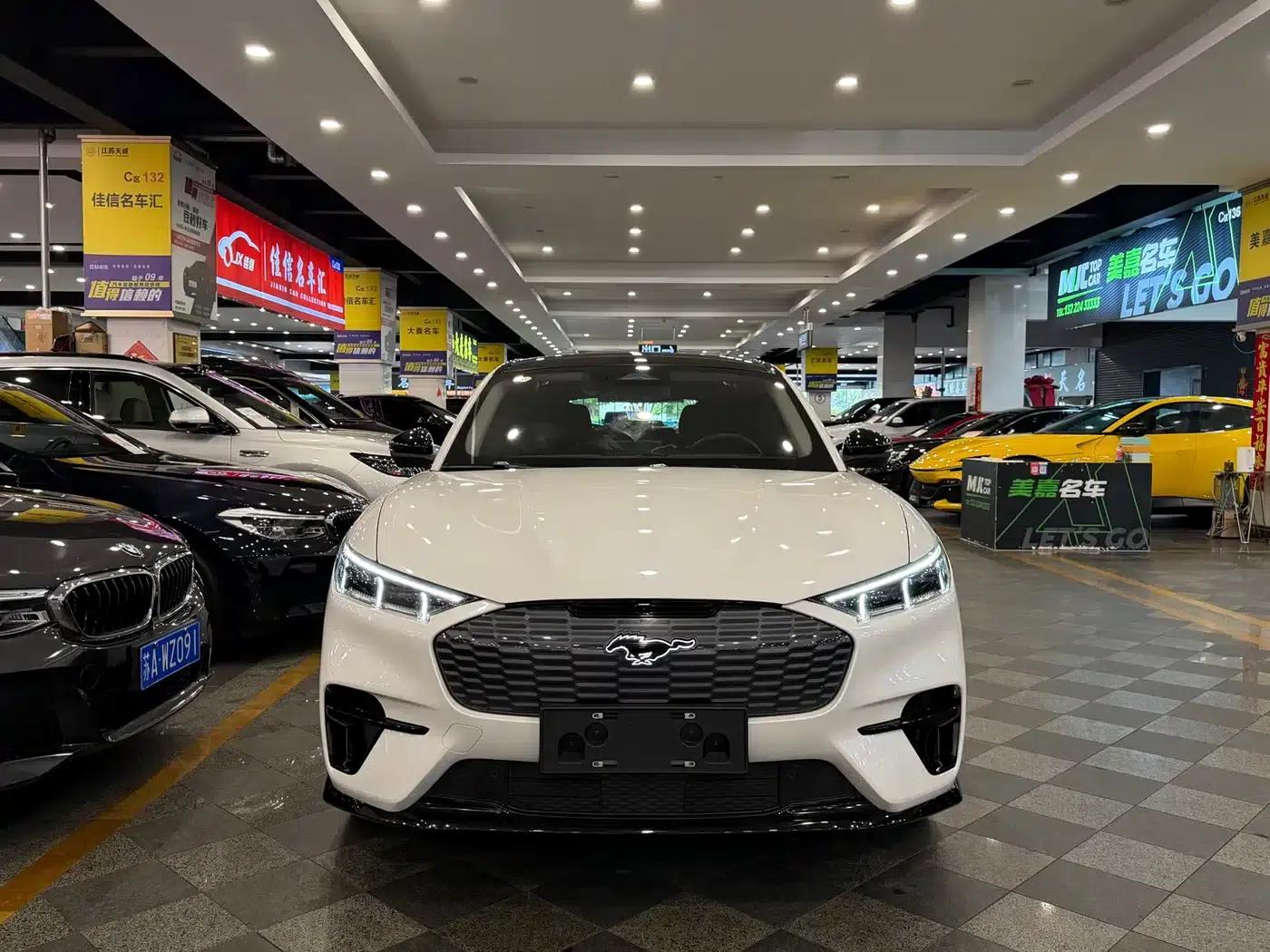 Ford e31 2021 Model X Unlimited Rear-Wheel Drive Luxury Edition Long Range — миниатюра 2