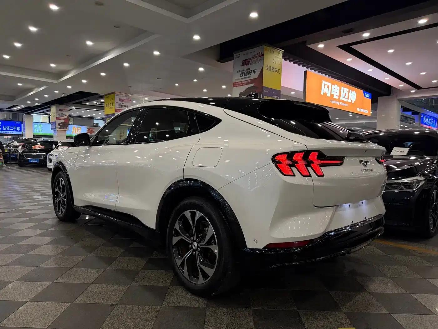 Ford e31 2021 Model X Unlimited Rear-Wheel Drive Luxury Edition Long Range — миниатюра 12