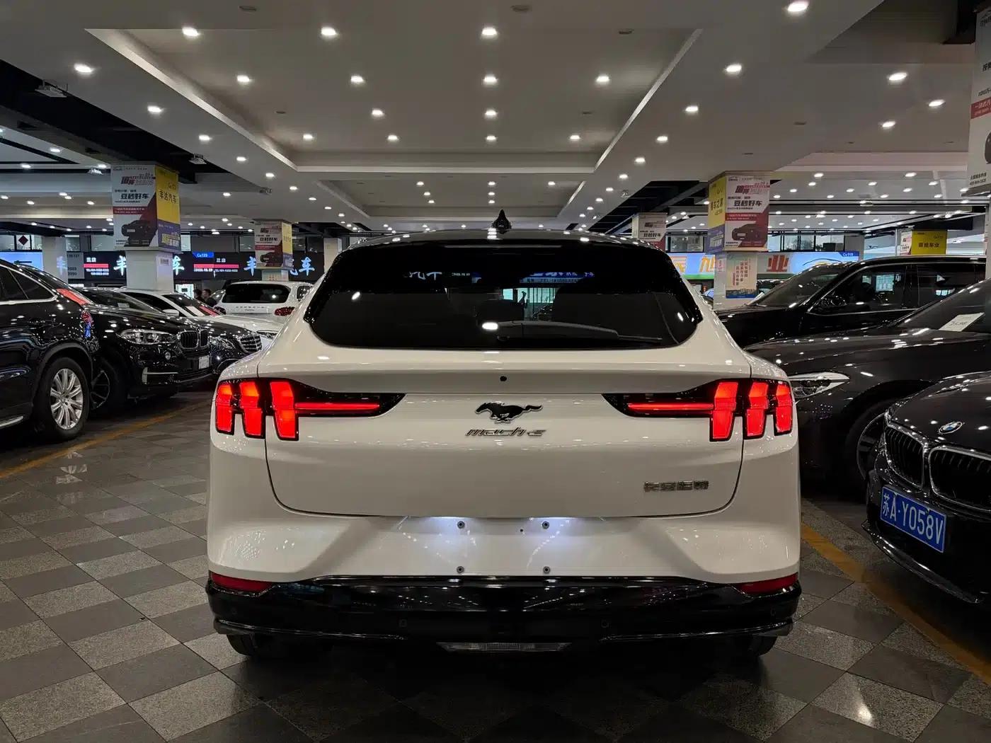Ford e31 2021 Model X Unlimited Rear-Wheel Drive Luxury Edition Long Range — миниатюра 13