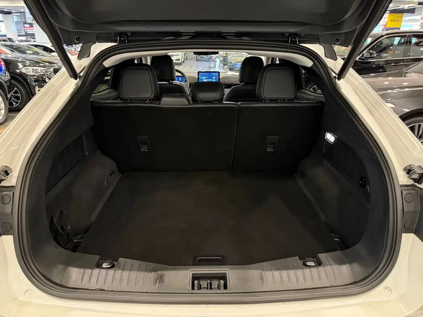 Ford e31 2021 Model X Unlimited Rear-Wheel Drive Luxury Edition Long Range — миниатюра 14