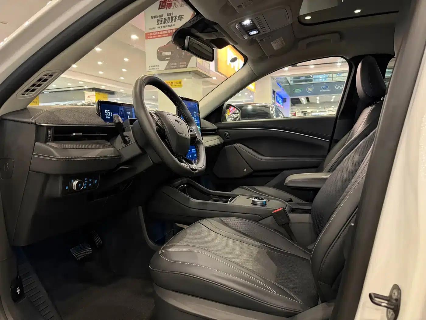 Ford e31 2021 Model X Unlimited Rear-Wheel Drive Luxury Edition Long Range — миниатюра 3