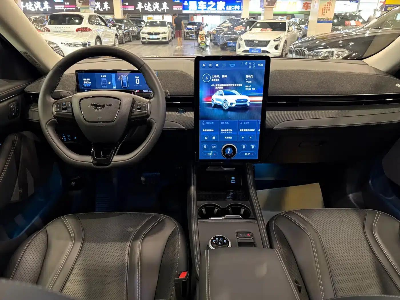 Ford e31 2021 Model X Unlimited Rear-Wheel Drive Luxury Edition Long Range — миниатюра 4