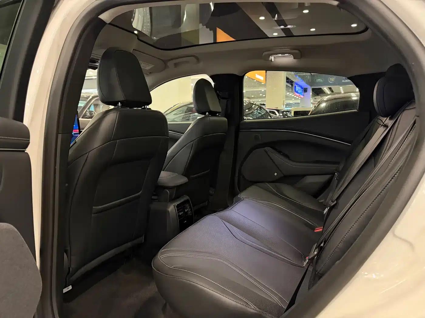 Ford e31 2021 Model X Unlimited Rear-Wheel Drive Luxury Edition Long Range — миниатюра 5