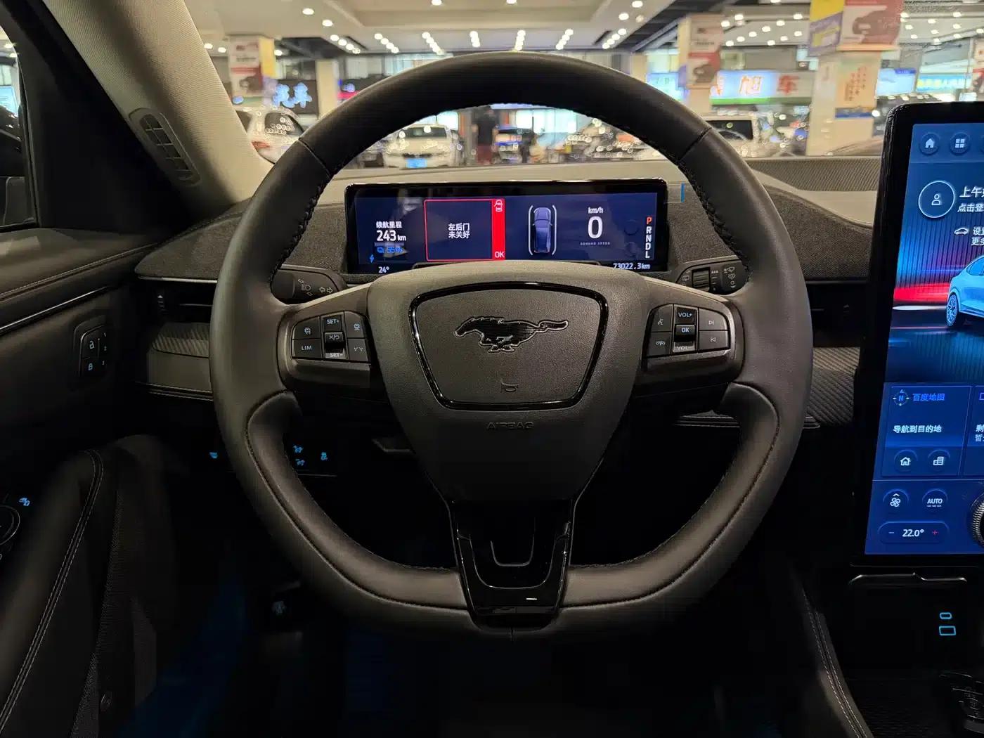Ford e31 2021 Model X Unlimited Rear-Wheel Drive Luxury Edition Long Range — миниатюра 6