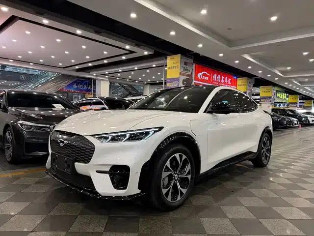 Ford e31 2021 Model X Unlimited Rear-Wheel Drive Luxury Edition Long Range