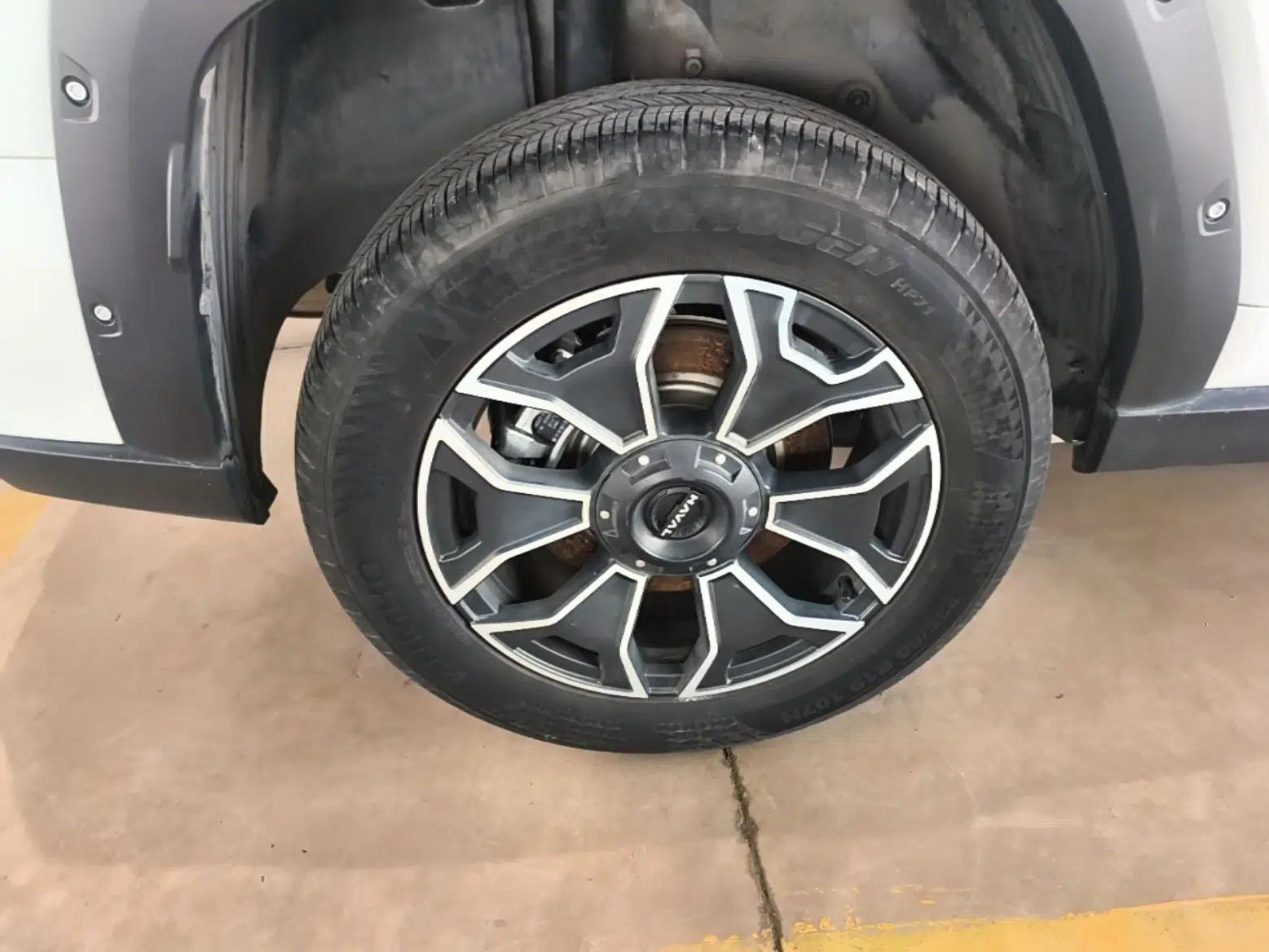 Haval H Dog New Energy 2023 DHT-PHEV 105km Tide Electric Version Plus — миниатюра 11