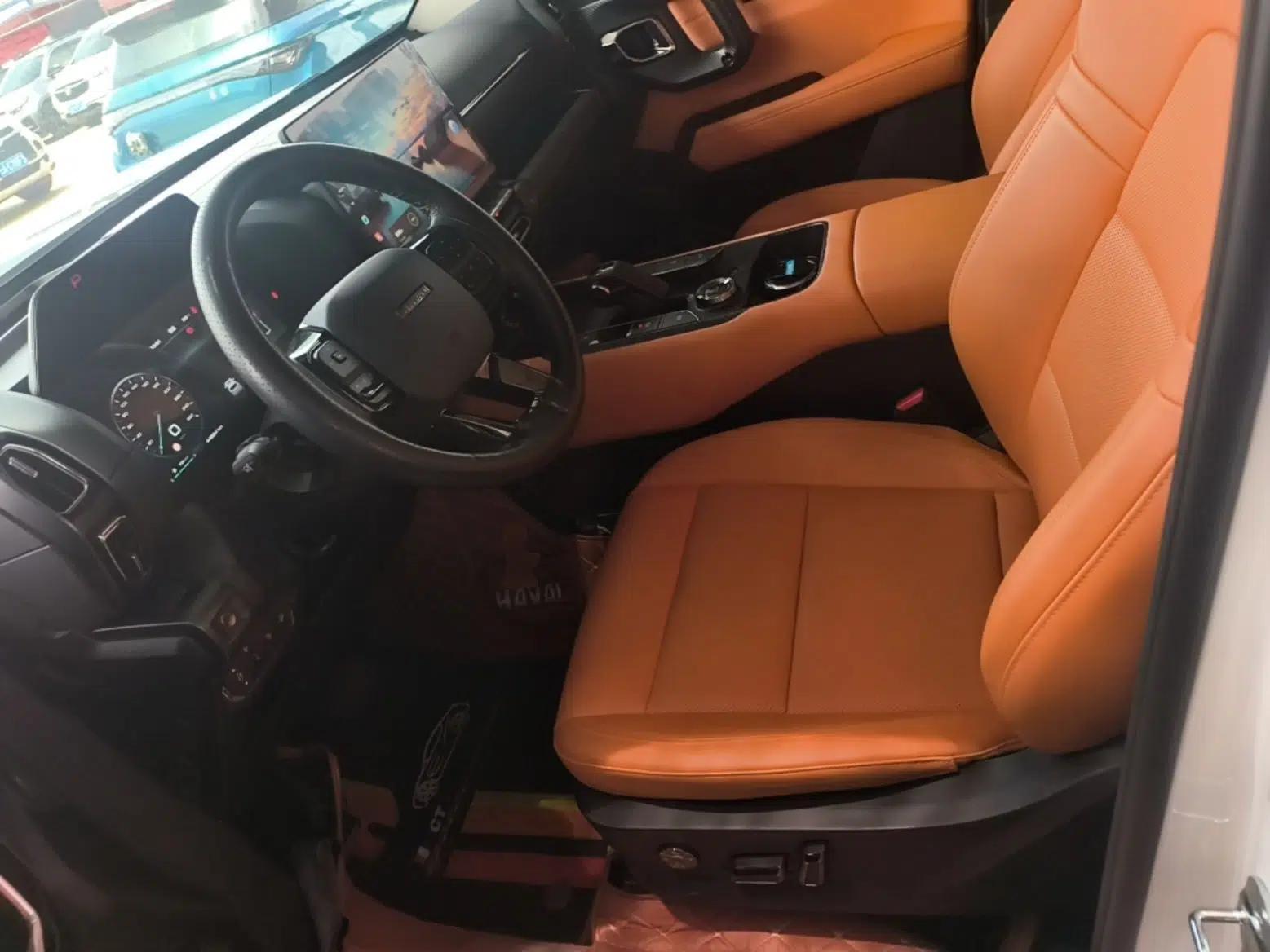 Haval H Dog New Energy 2023 DHT-PHEV 105km Tide Electric Version Plus — миниатюра 17