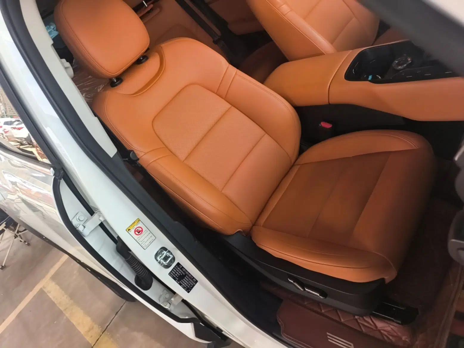 Haval H Dog New Energy 2023 DHT-PHEV 105km Tide Electric Version Plus — миниатюра 19