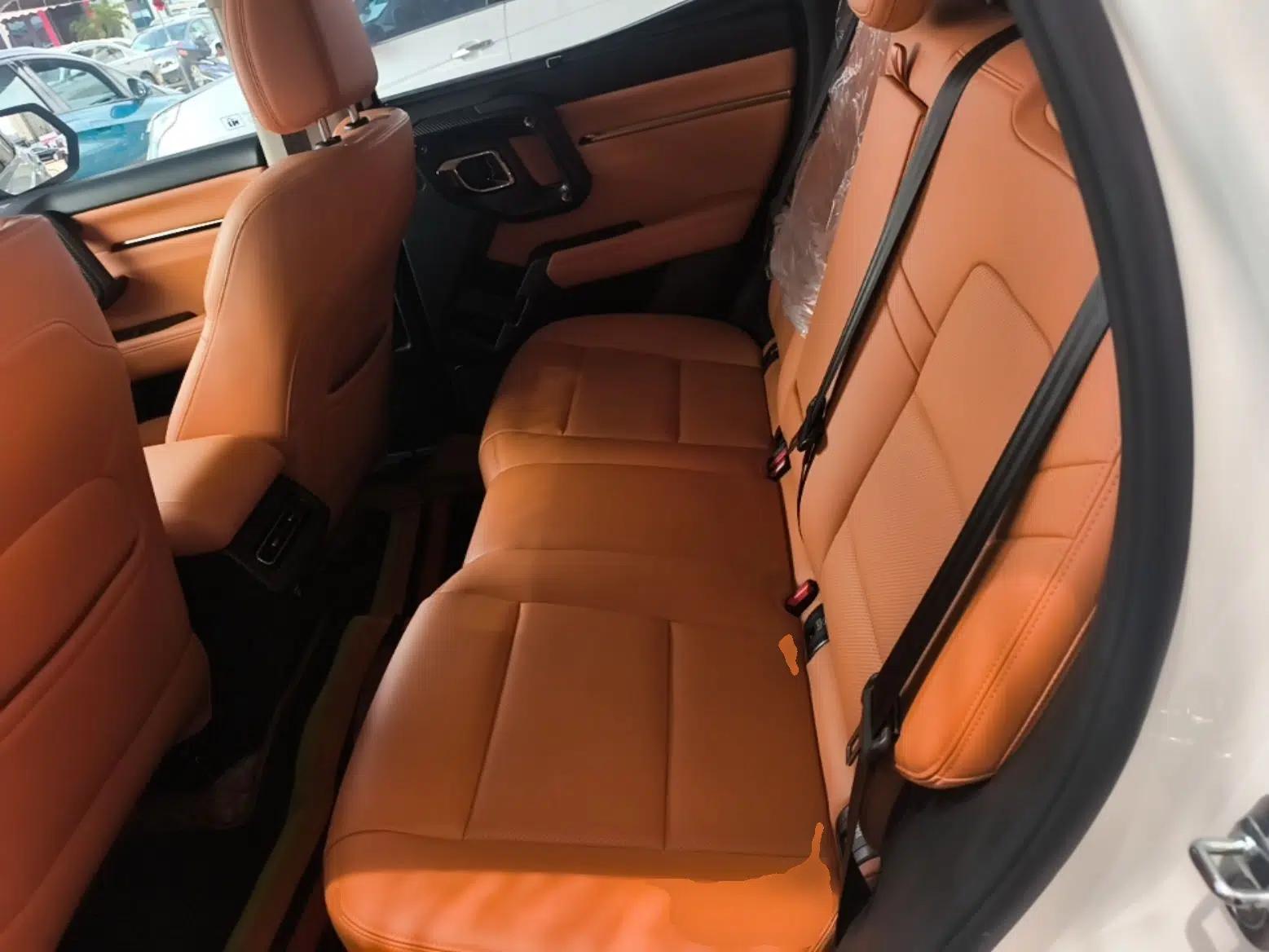 Haval H Dog New Energy 2023 DHT-PHEV 105km Tide Electric Version Plus — миниатюра 20