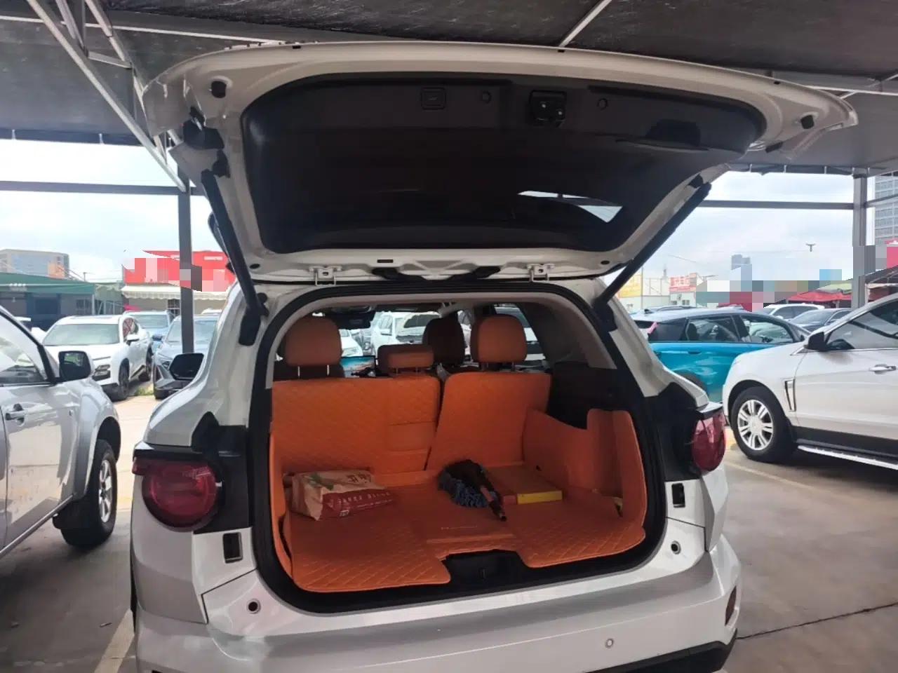 Haval H Dog New Energy 2023 DHT-PHEV 105km Tide Electric Version Plus — миниатюра 22